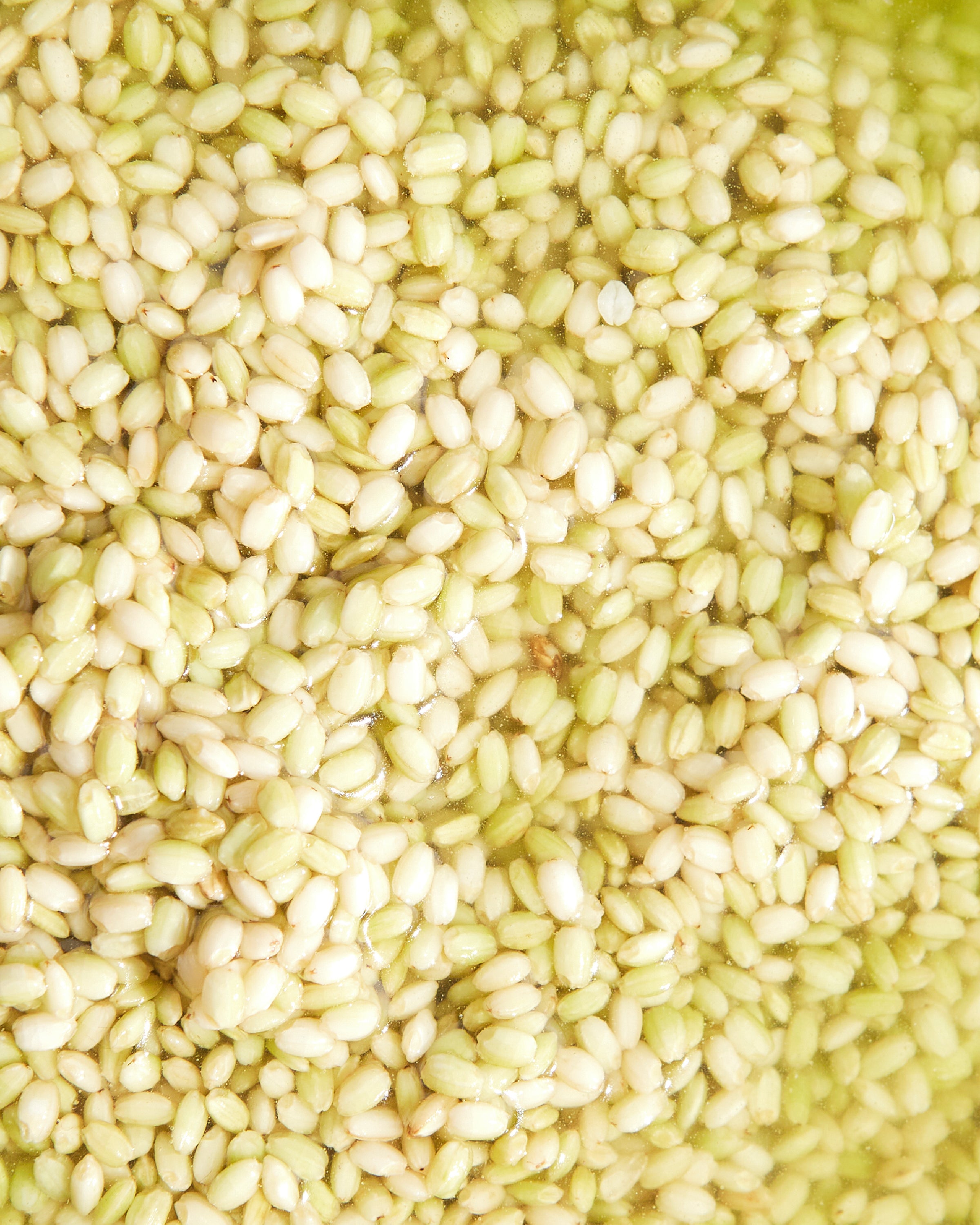 Dr. Bio Green Rice Biome Pore Toner Pad 160ml