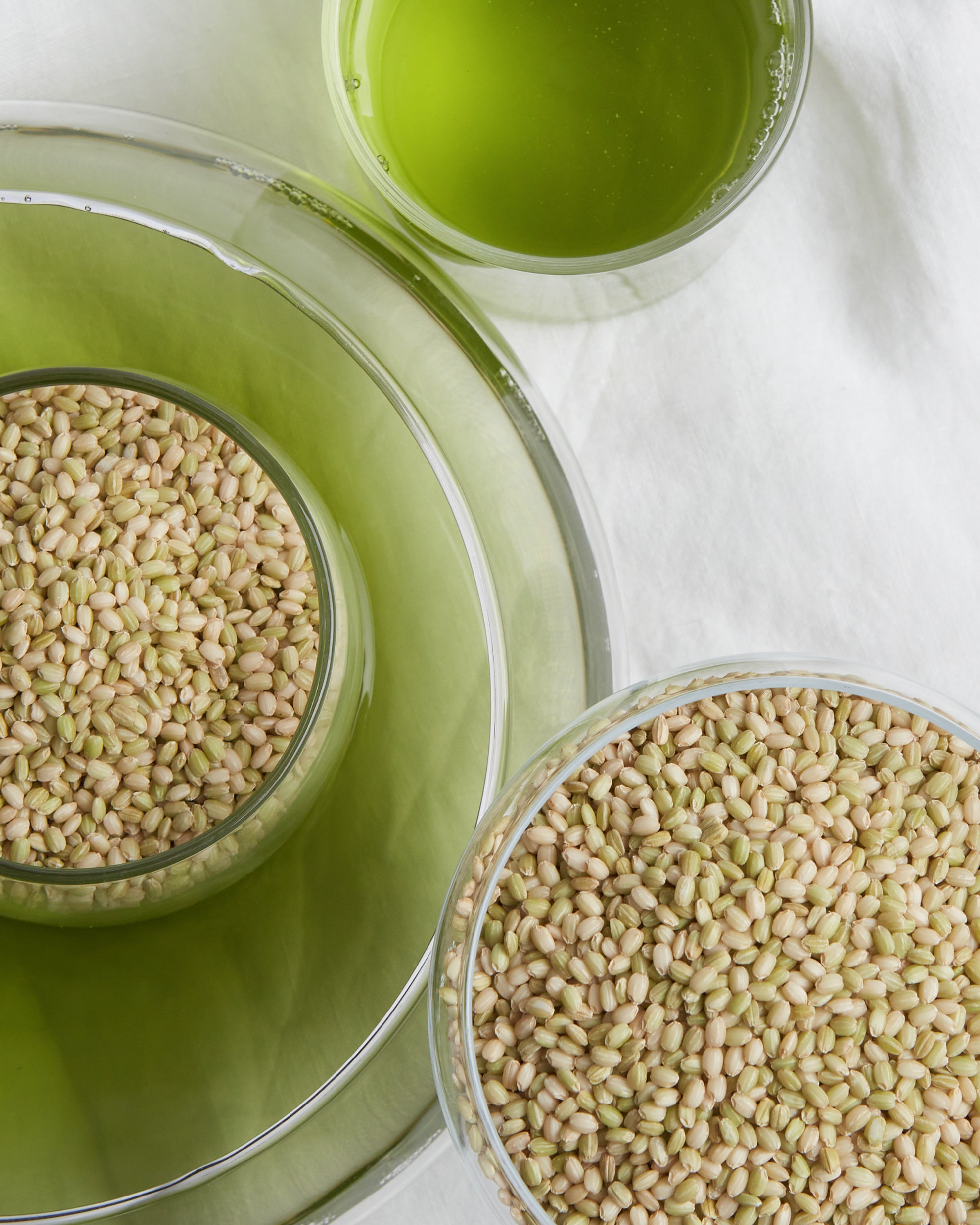 Dr. Bio Green Rice Biome Pore Toner Pad 160ml